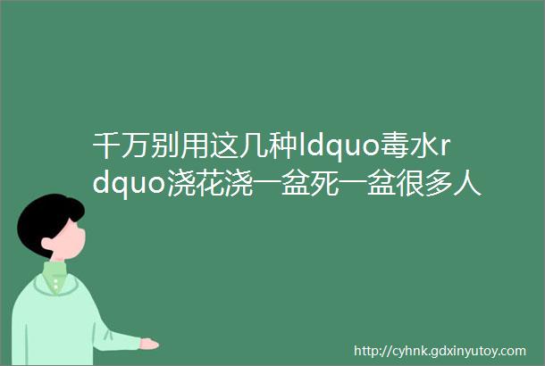 千万别用这几种ldquo毒水rdquo浇花浇一盆死一盆很多人都在用